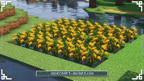 The subreddit for all things related to Modded Minecraft for Minecraft Java Edition --- This subreddit was originally created for discussion around the FTB launcher and its modpacks but has since grown to encompass all aspects of modding the Java edition of Minecraft. . Minecraft farmers delight rice